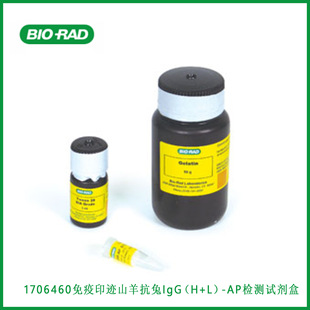 ����Bio-Rad 1706460 ����ӡ�Eɽ����IgG��H+L��-AP�z�yԇ����