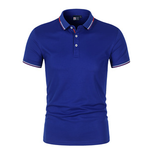 2D�羳�¿��ļ��ӗl�y��ɫ�I����~��polo���r����ʿ����