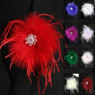 Explosions cross-border dedicated ins diamond feather brooch corsage daily leisure travel photo use