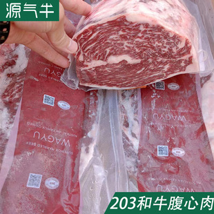 ���޻ʹں�ţ������203�Sѩ��ţ���nʽ���ⰲ��˹����������l