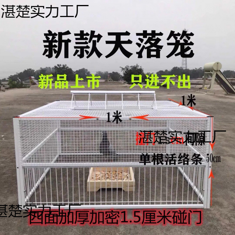 鳩の天落ケージ、鳩ケージの出入りができない、鳩ケージの開閉ドア、鳥かご、ジャンプケージ、飼育ケージ|undefined