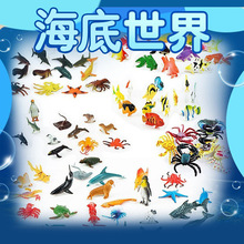 �羳������溣����ģ����� ������㺣�����ģ�͵�̯С���