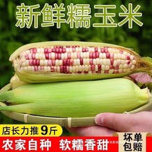 �V����Ŵ����10�����r�Fժ�r����Ŵʳ��ˮ�������װ�Ƥ����