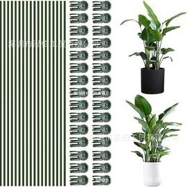 跨境新品绿色植物支撑桩跨境支架支撑植物可棒植物棒弯曲支撑植物