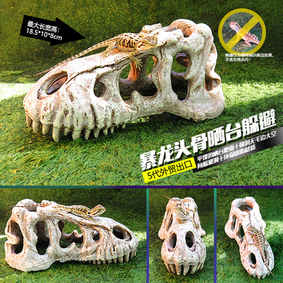 爬虫箱造景头骨装饰鳄鱼鬃狮蜘蛛蝎子守宫爬宠饲养箱躲避