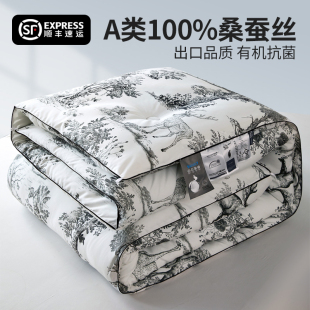 Silk Quilt 100% Mulberry Silk Spring and Autumn Quilt Air Conditioning Quilt Student Dormitory Quilt Core Thickened Winter Quilt