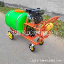 电动款手推式打药机 公园绿化远程喷雾养殖场消毒杀虫喷药车