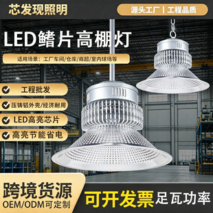 led�S����Ƭ���V�����������S܇�g�}��������I����100w�����