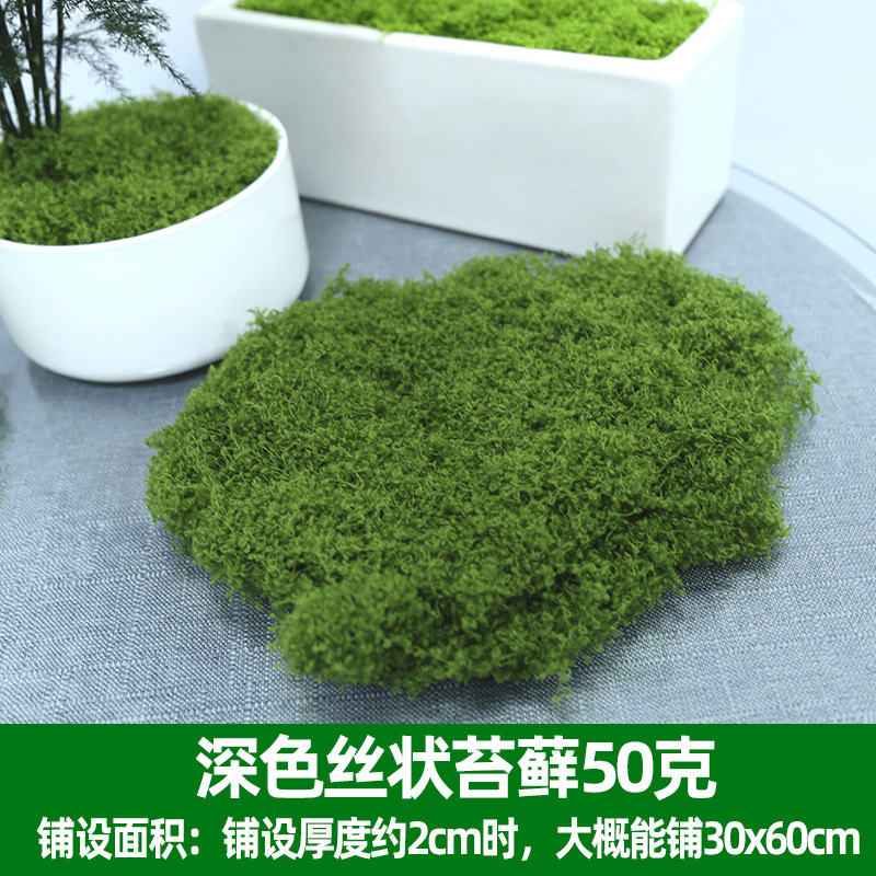 仿真苔藓绿色假青苔背景装饰 植物墙草坪微景观仿真苔藓草皮青苔|undefined