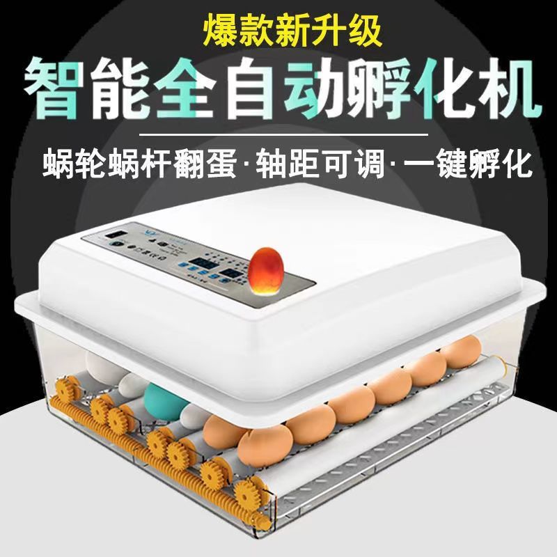 자동 인큐베이터 가정용 작은 병아리 인큐베이터 오리 구스 비둘기 메추라기 인큐베이터 기계 병아리 인큐베이터