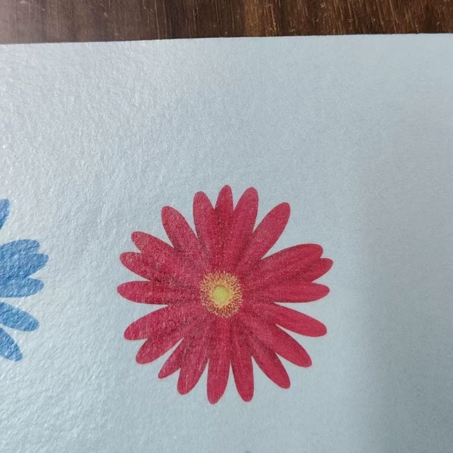 Клейкий рис с chrysanthemum 꽃?