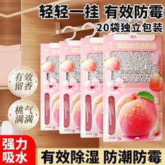 除湿袋吊り式家庭用靴箱防かび吸湿水除湿剤寮たんす吸湿防湿乾燥剤