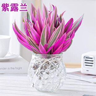 ��¶�mˮ��Gֲ����mС�����҃��k�������滨���ͮ���Y�ļ����B