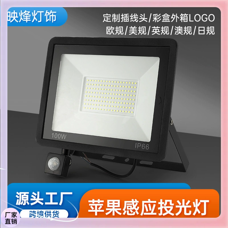 Apple, LED индукционный дорожный физиологический прожектор, 50W, 100W