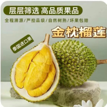 泰国金枕榴莲鲜果进口新鲜带壳热带水果应季水果批发