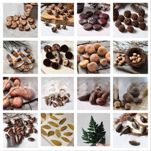 ɻlƬɻLɹɻС»޹DIY