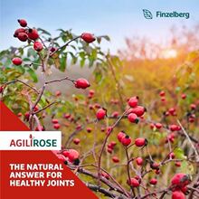 Agilirose玫瑰果籽提取物Finzelberg德国进口