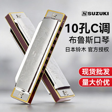 SUZUKI�ľ10�ײ���˹�������༉�{�{ʮ��C�{���W�߃�ͯ���T��ʿ