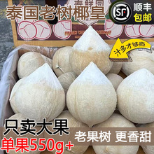 ̩���M��С��Ҭ����ţ��Ҭ����ҬҬ�ӵ����r����ˮ������Ҭ�Ӱ��]