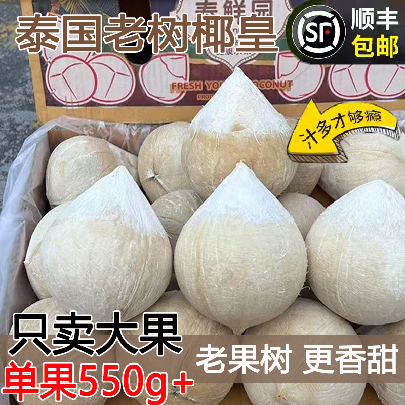 泰国进口小奶椰香甜牛奶椰皇香椰椰子蛋新鲜当季水果海南椰子包邮