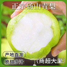 �������rˮ���Xɽ����ʹ��殔����������ִ�����ѩ��������]