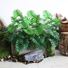 ����ֲ�ﴺ���~�Gֲ�b������~�ٻ�ˇ�����쾰�lؔ�����Ϸ����~��