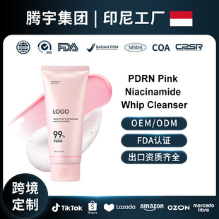 �n������OEM�ۼtPDRN������������PinkNiacinamide Whip Cleanser