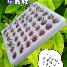 �S��ֱ�N����Ȫ�����︣�ݿ��fEPE������ˮ�������������а��b