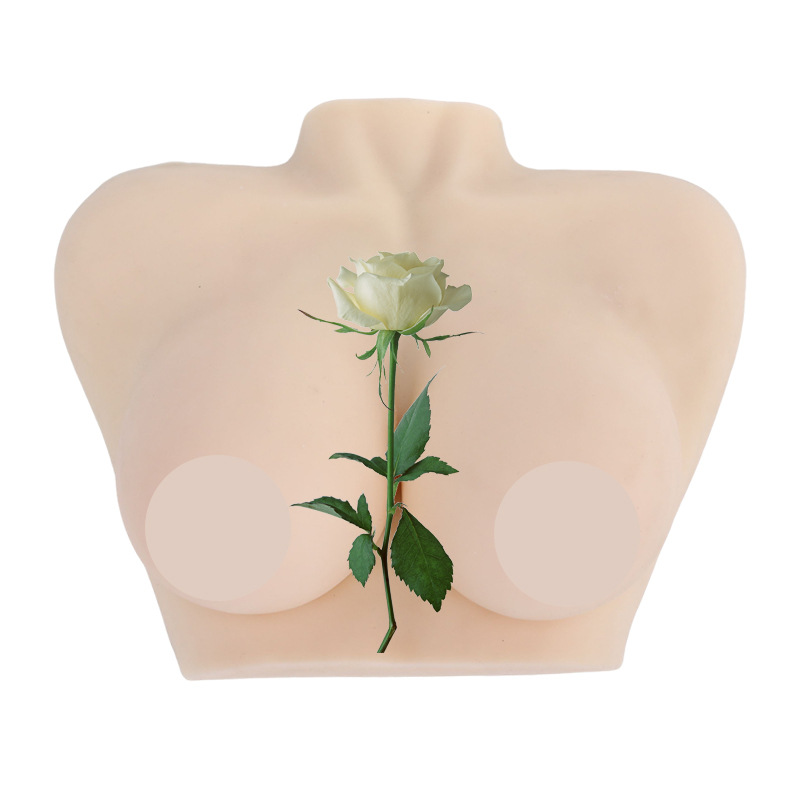 Ů���鷿ģ�� ����ʦ��ѵ���߲����ѧģ�� �轺���鷿 ҽѧ�̾�