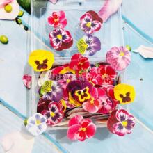 �決��ɫ�������������b�Ŵ�׼�����320Ƭ������С��������b�