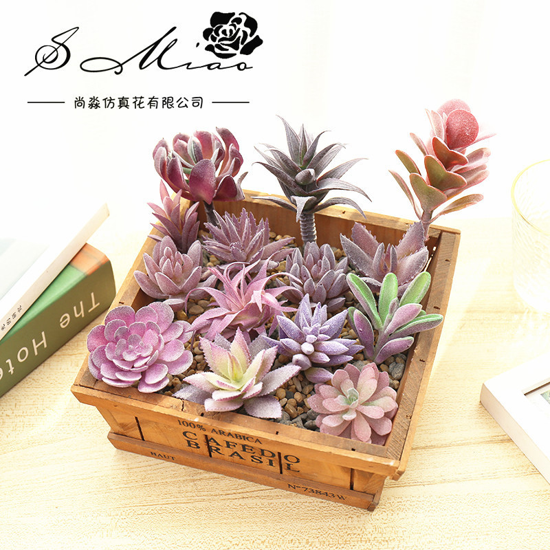 011 Purple Series Fleshy Plant Flower Head Creative DIY Design Flower Arrange Accessories Flower Factory Direct Supply Green Plant Shang 011 Purple Series Fleshy Plant Flower Head Creative DIY Design Flower Arrange Accessories Flower Factory Direct Supply Green Plant Shang