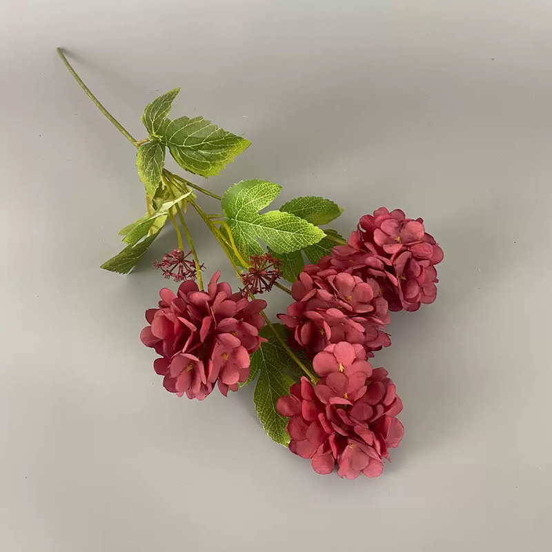 4송이 몽환적인 수국 - 진홍색