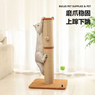 ����؈ץ�岻��м؈ĥצ��������؈����С����ʽ؈ץ����؈�����