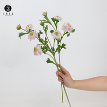 ���Sֱ�N ���x���{�軨���滨�ٻ� ��@�L��c��ˇ�廨�쾰С����