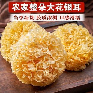 ������y����؛�Ҝ�����ɏ�Ӱٺ��y��������y����Ʒ��ʳ��