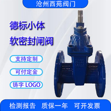 GGG50��DN80С�w�p�w��ī�T�Fܛ�ܷ��l�y ����ұ���m�ý�ֹ�y�T