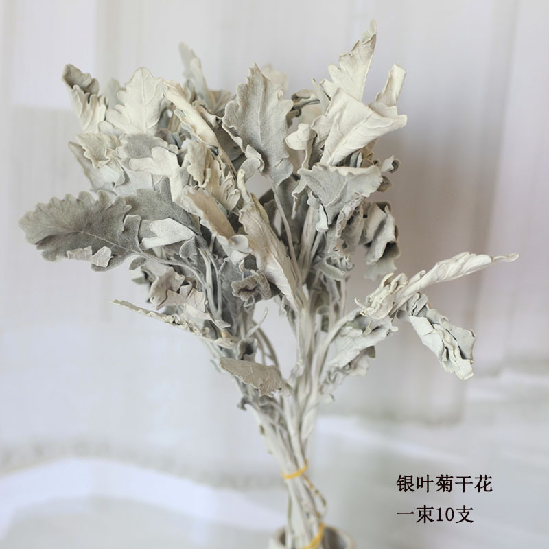 Flor seca Flor eterna Gypsophila Bola de oro No me olvides Flor seca Rosa hoja de eucalipto Pine Fruit Lover Grass al por mayor