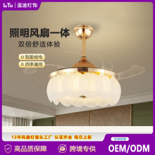 ˮ���L�ȟ��͏d�[���ȿ͏dLed���ȟ������Ҏ���L���p�ݾW�t����