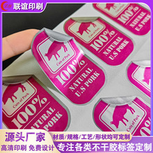 哑银PET充电器电源适配器锂电池耐高温不干胶标签贴纸封口贴商标