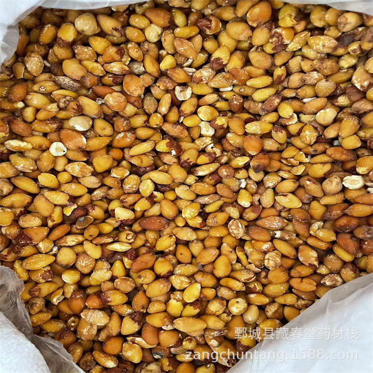 白果仁500g 中药材现货批发供应干白果银杏果银杏仁新货【藏春堂