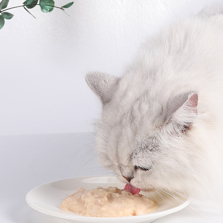 Aperitivos para gatos, tiras para gatos, rehidratación y engorde, gatitos enlatados, barro para gatos, aceite de pescado, tiras para gatos, bocadillos mixtos, sin aditivos