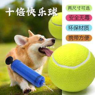 9.5�纞���W�� ʮ���옷�� ���ﹷ����������W��ʮ���g����
