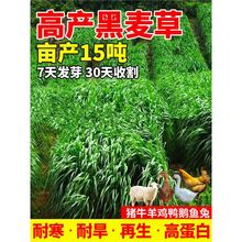 �����ݷN�Ӿ��ķN���ļ��������ͺ�������ι�u���Z�~ţ���i������