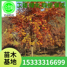 ��Ǘ� ���U2-12���ָ߶�3-5���^�p�����쾰�Ø� ������