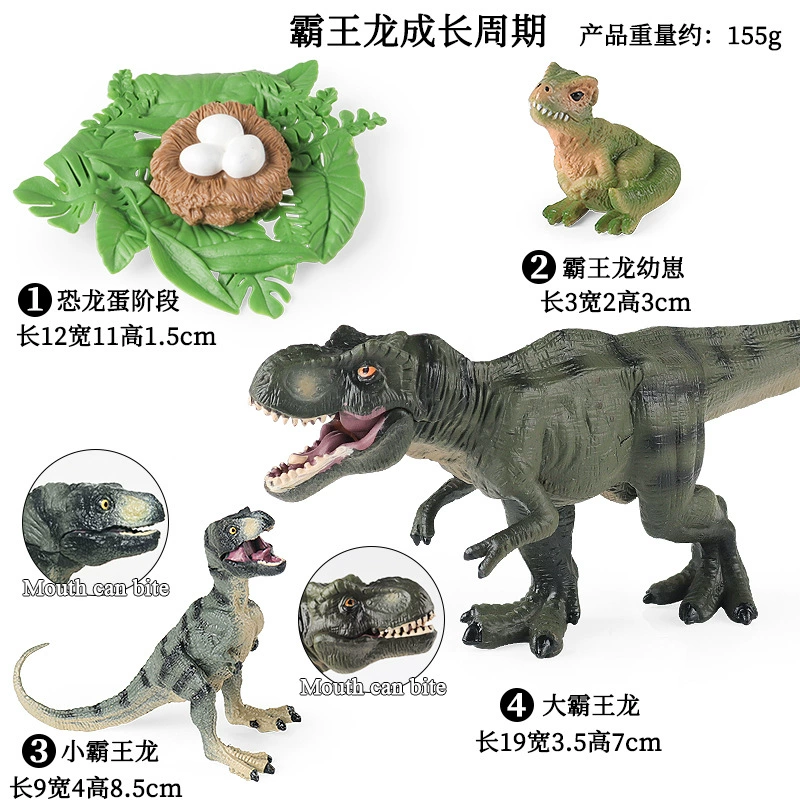 Cognitive realistic marine animal model, dinosaur, toy