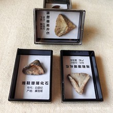 ���lĦ�����Ьɺ����ʯԭʯ�Ѓ�ͯ���|���ս̌W�ղضY���Ą��˱�
