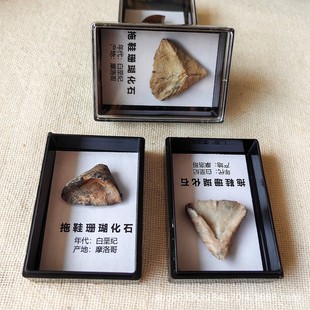 ���lĦ�����Ьɺ����ʯԭʯ�Ѓ�ͯ���|���ս̌W�ղضY���Ą��˱�