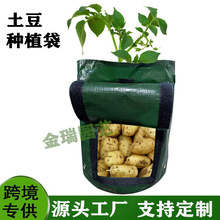 Դ�^�S�ҿ羳�����Nֲ���R���������ֲ�����L���߲˷Nֲ��������