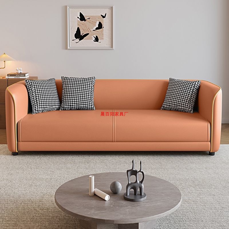 Cat Paw Leather Simple Light Small Apartment Living Room Rental House Hair Salon Double Three-Person Convenient Sofa Single Person
