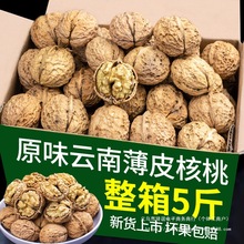 云南核桃薄皮2025新货纸皮核桃孕妈薄壳黑桃坚果5斤新鲜